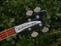 Rickenbacker 4001/4 , Jetglo: Headstock