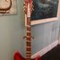 Rickenbacker 360/12 , Fireglo: Close up - Free