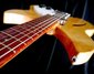 Rickenbacker 330/6 , Mapleglo: Free image2