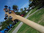 Rickenbacker 4003/4 S, Natural Walnut: Neck - Rear