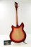 Rickenbacker 360/6 , Fireglo: Full Instrument - Rear