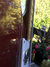 Rickenbacker 4001/4 Mod, Trans Red: Free image