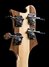 Rickenbacker 4003/4 , Mapleglo: Headstock - Rear