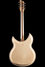 Rickenbacker 381/6 V69, Mapleglo: Full Instrument - Rear