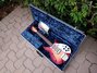 Rickenbacker 1996/6 f hole, Fireglo: Full Instrument - Front