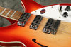 Rickenbacker 1993/12 Plus, Fireglo: Close up - Free