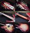 Rickenbacker 360/12 V64, Fireglo: Close up - Free2