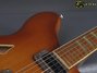 Rickenbacker 360/6 BT, Autumnglo: Free image