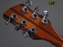 Rickenbacker 360/6 BT, Autumnglo: Headstock - Rear