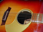 Rickenbacker 730/12 PW Build (acoustic), Amber Fireglo: Close up - Free2