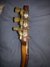 Rickenbacker 360/12 , Mapleglo: Free image2