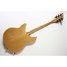 Rickenbacker 330/6 BH, Mapleglo: Full Instrument - Rear