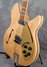 Rickenbacker 360/12 f hole, Mapleglo: Close up - Free2