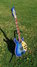 Rickenbacker 660/6 , Blueburst: Close up - Free