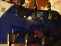 Rickenbacker 330/6 , Midnightblue: Headstock - Rear