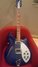 Rickenbacker 360/6 , Blueburst: Full Instrument - Front