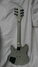 Rickenbacker 250/6 El Dorado, Silver: Full Instrument - Rear