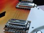 Rickenbacker 330/6 Mod, Fireglo: Free image