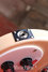 Rickenbacker 4003/4 S, Mapleglo: Close up - Free
