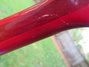 Apr 2013 Rickenbacker 360/12 Mod, Fireglo: Neck - Rear