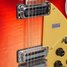 Rickenbacker 660/12 , Fireglo: Free image