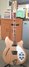 Rickenbacker 360/12 , Mapleglo: Full Instrument - Front