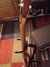 Rickenbacker 650/6 Dakota, Walnut: Free image