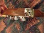 Rickenbacker 650/6 Dakota, Walnut: Close up - Free