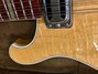 Rickenbacker 660/12 , Mapleglo: Close up - Free2