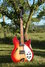 Rickenbacker 360/12 WB, Fireglo: Free image