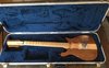 Rickenbacker 650/6 Mod, Custom: Full Instrument - Front