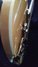 Rickenbacker 620/12 , Mapleglo: Free image