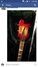 Rickenbacker 4003/4 Mod, Fireglo: Headstock