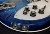 Rickenbacker 370/12 , Blueburst: Close up - Free