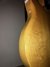 Rickenbacker 3000/4 BT, Mapleglo: Close up - Free2