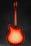 Rickenbacker 360/6 , Fireglo: Full Instrument - Rear