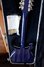 Rickenbacker 660/12 , Midnightblue: Full Instrument - Rear