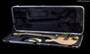 Rickenbacker 660/12 , Mapleglo: Free image