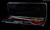 Rickenbacker 660/12 , Ruby: Neck - Front