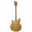 Rickenbacker 360/6 , Mapleglo: Full Instrument - Rear