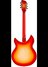 Rickenbacker 1993/12 Plus, Fireglo: Full Instrument - Rear