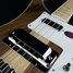 Rickenbacker 4003/4 , Natural Walnut: Free image