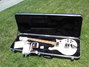 Rickenbacker 620/6 , Mapleglo: Full Instrument - Front