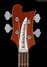 Rickenbacker 4003/4 , Copper Orangelo: Headstock