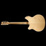 Rickenbacker 360/12 , Mapleglo: Full Instrument - Rear