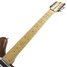 Rickenbacker 380/6 Mod, Natural Walnut: Neck - Front