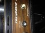Rickenbacker Transonic 100/amp Mod, Black: Free image2