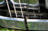 Rickenbacker B/6 , Black: Close up - Free2