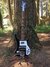 Rickenbacker 4003/4 , Jetglo: Full Instrument - Front