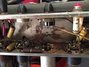 Rickenbacker M-88/amp Mod, Gray: Full Instrument - Rear